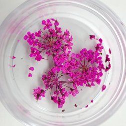 ZOO, Сухоцветы, Любимые цветочки, #1681